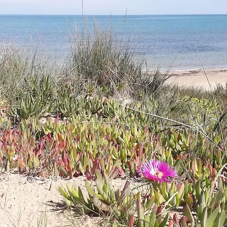 Denia's Beach House - Colibri Apartment Denia