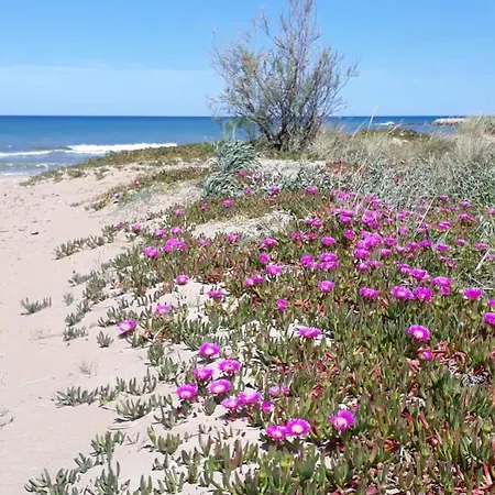 Denia's Beach House - Colibri *