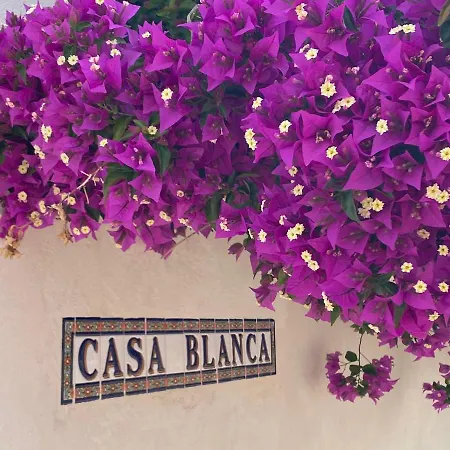 Denia's Beach House - Colibri * Denia